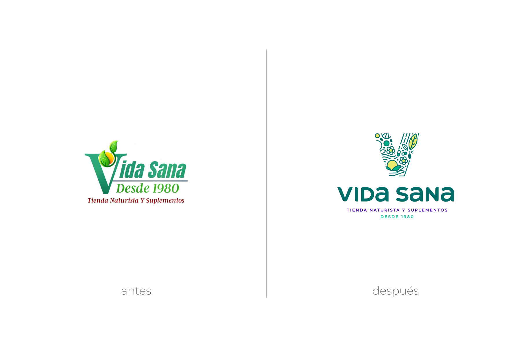 VIDA_SANA_PORTAFOLIO_03